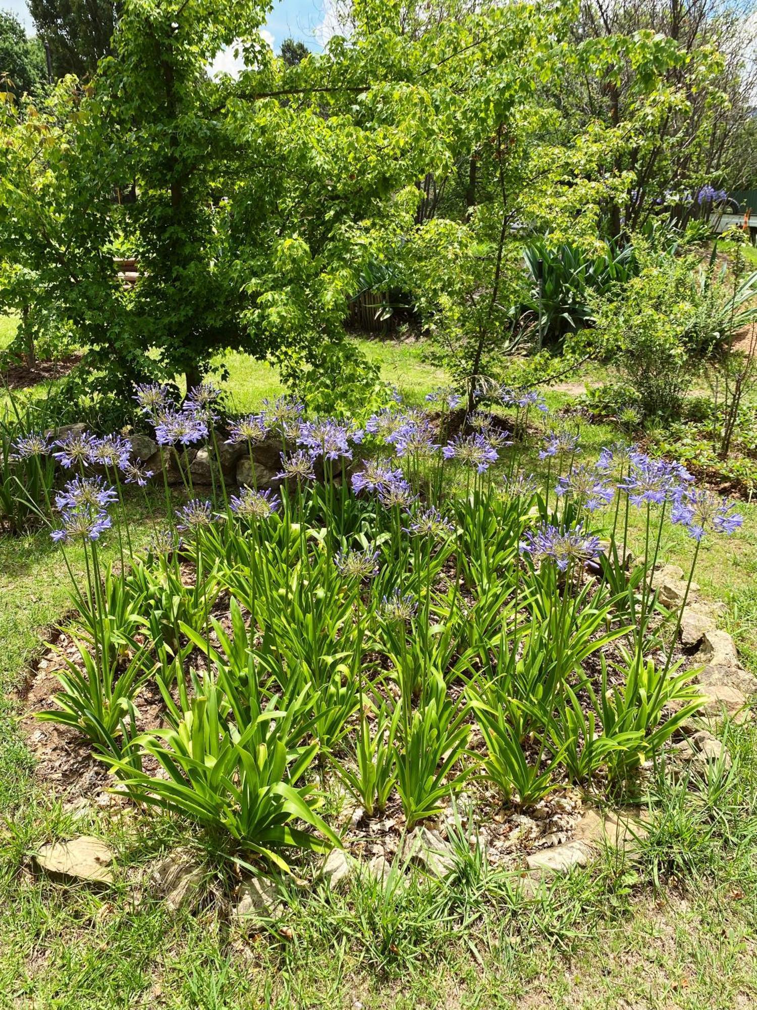 Collett House And Lavender Cottage Кларенс Екстериор снимка