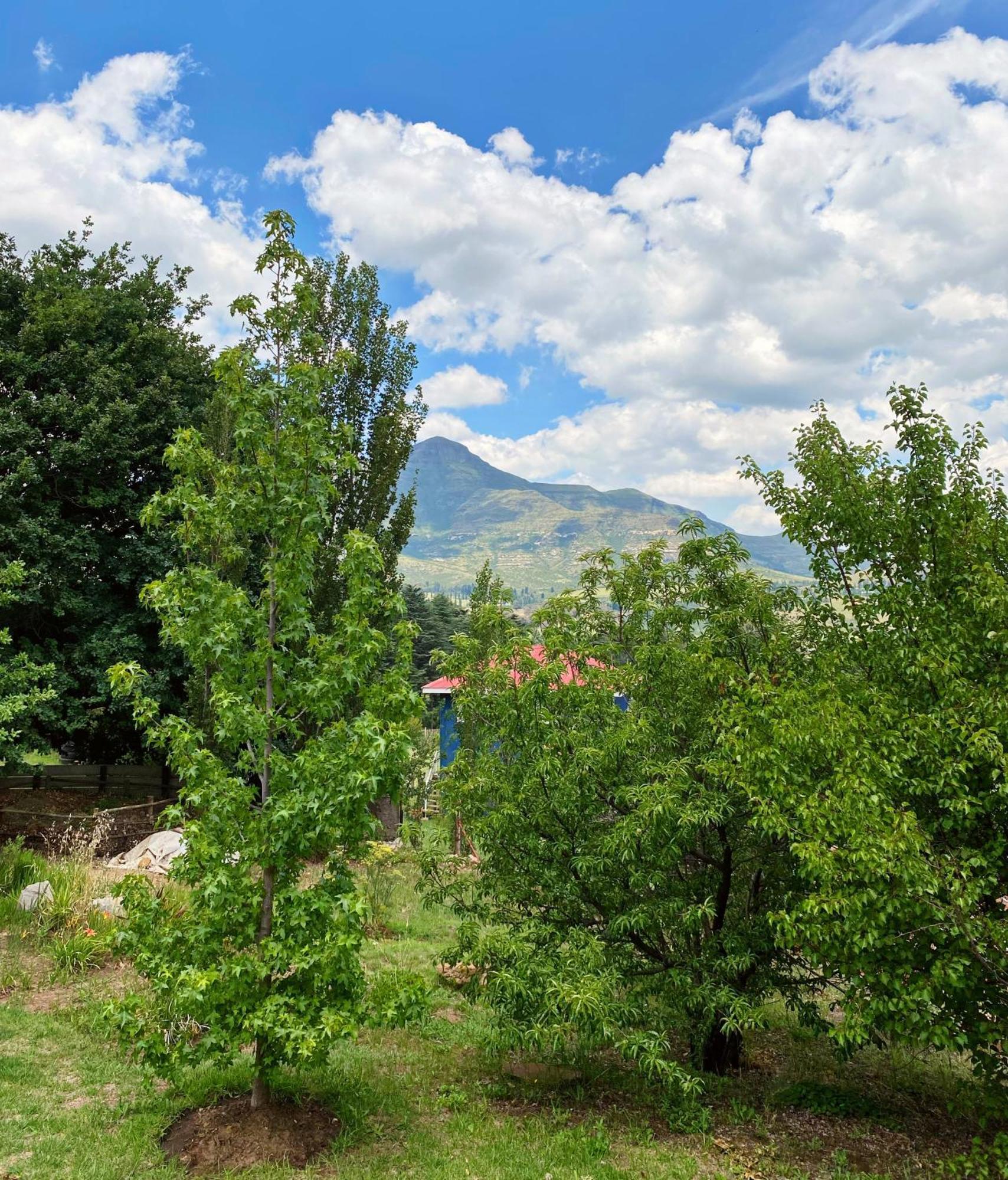 Collett House And Lavender Cottage Кларенс Екстериор снимка